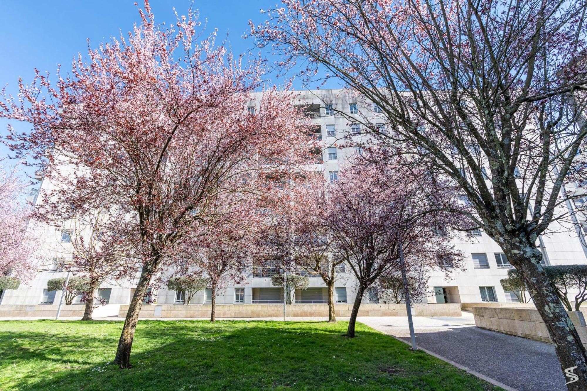 Cedofeita Sunny Apartment - Balcony & Parking Порто Екстериор снимка